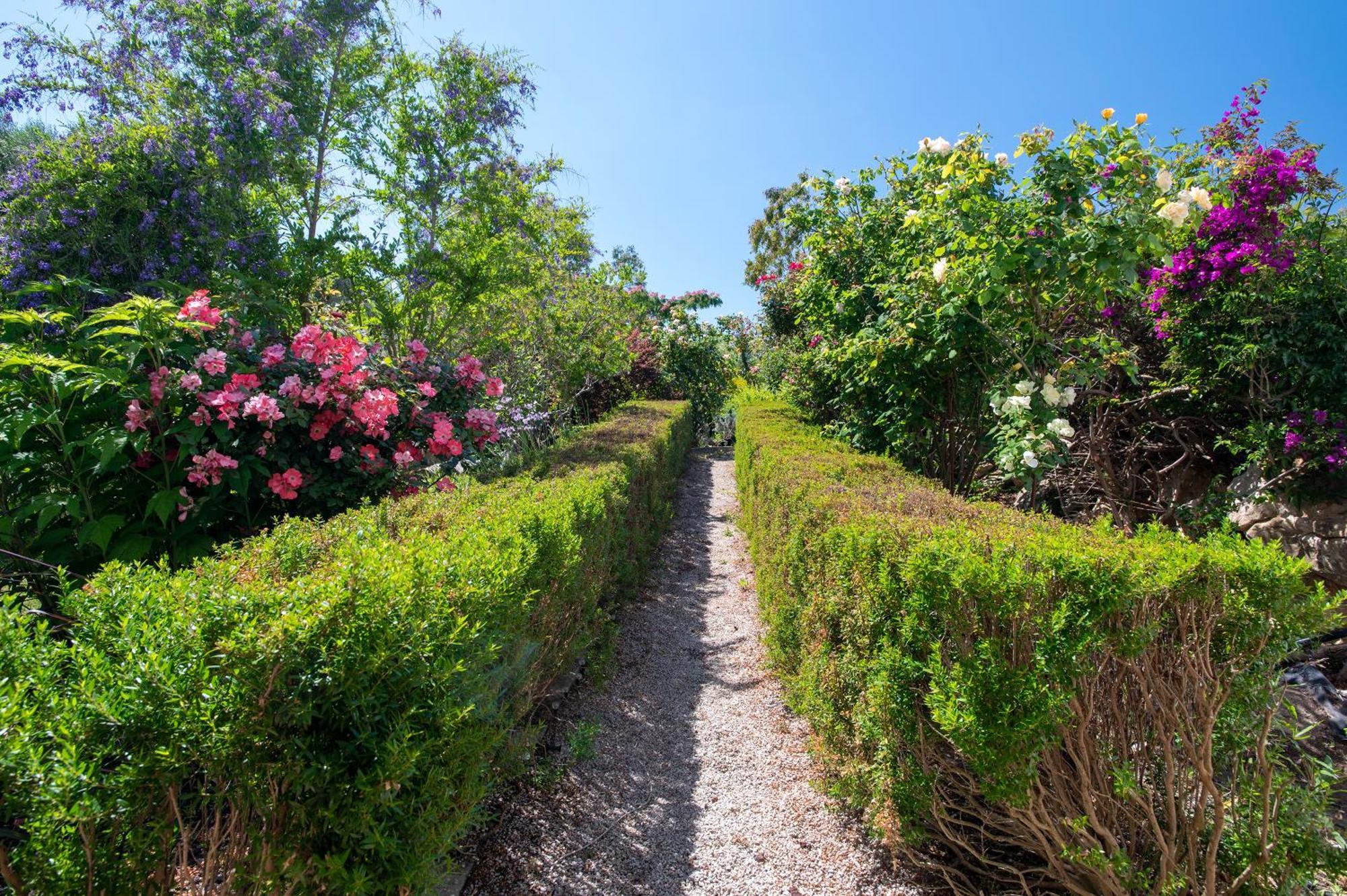 Sardinia Re - Villa Fioretta Flowers Apartments Olmedo Esterno foto