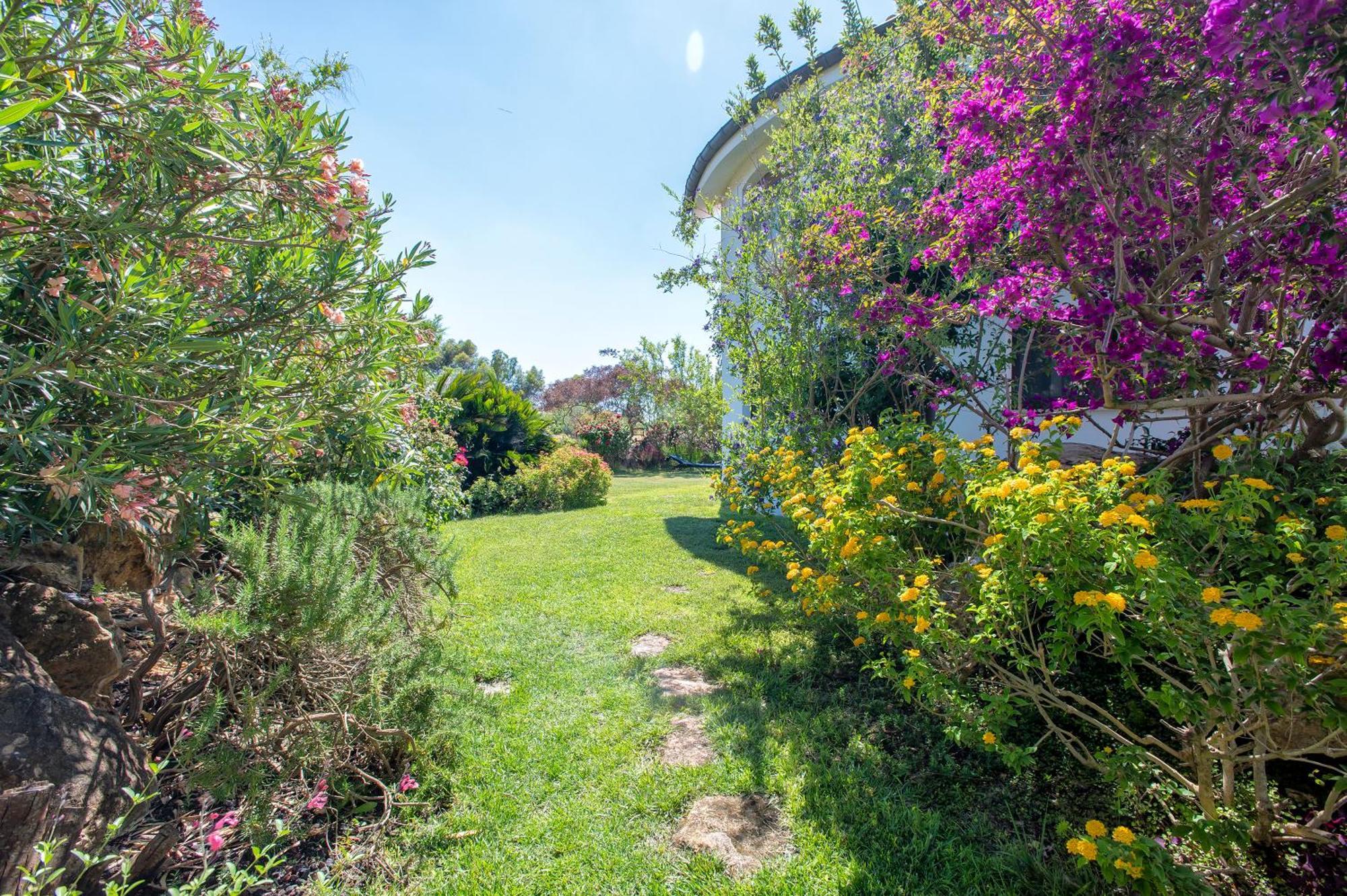 Sardinia Re - Villa Fioretta Flowers Apartments Olmedo Esterno foto